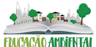 ARTIGO: Eleições x educação e meio ambiente – Por que precisamos de educação ambiental nas escolas?
