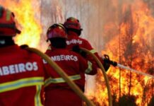 RN tem segunda menor proporção do Brasil de municípios com Corpo de Bombeiros