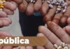 Publicado edital de chamada pública para aquisição de sementes crioulas