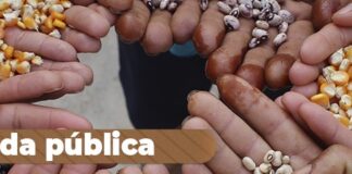 Publicado edital de chamada pública para aquisição de sementes crioulas