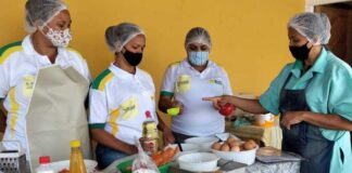 Mais de 300 agricultores vão ser capacitados na área de produção de alimentos