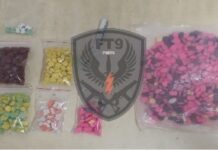 PM apreende grande quantidade de drogas sintéticas em Parnamirim/RN