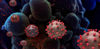 ‘Os coronavírus sofrem mutações o tempo todo’, diz pesquisador