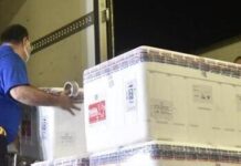 RN recebe primeiro lote da CoronaVac com 82.440 doses