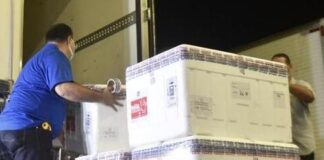 RN recebe primeiro lote da CoronaVac com 82.440 doses