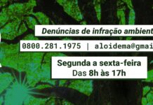 População pode fazer denúncias ambientais através do serviço “Alô Idema”