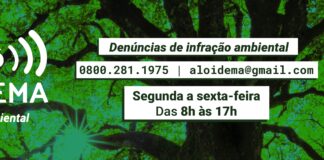 População pode fazer denúncias ambientais através do serviço “Alô Idema”