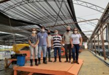 Empresa de Carcinicultura apresenta processo produtivo à diretoria do Idema