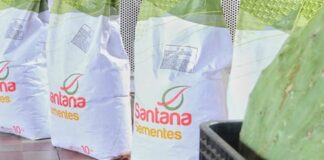 Iniciada distribuição de sementes para 53 mil agricultores do RN