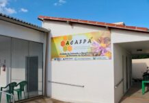 Produtores de Mel são beneficiados com fábrica construída pelo Governo do RN