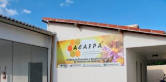 Produtores de Mel são beneficiados com fábrica construída pelo Governo do RN