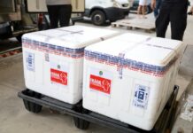 Sesap orienta sobre aplicação de novas doses das vacinas