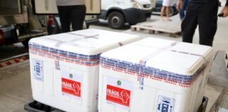 Sesap orienta sobre aplicação de novas doses das vacinas