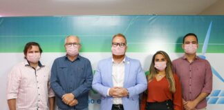 Sedec realiza seminário virtual RN Energia