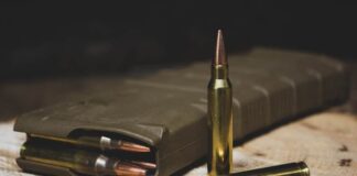 STF derruba restrições para porte de arma para guardas municipais