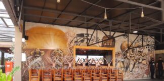 No primeiro domingo de toque de recolher integral, RN tem a maior taxa de isolamento social do país