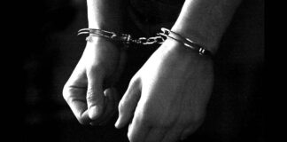 Auditora fiscal é presa por ameaças e ofensas contra juiz e advogada