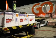 RN recebe lote de vacina CoronaVac suficiente para zerar fila de espera por segunda dose, diz Sesap