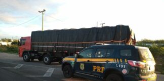 PRF apreende caminhão com 150 mil maços de cigarros contrabandeados no Agreste potiguar