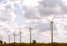 RN lidera leilão de compra de energia nova 2021