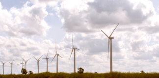 RN lidera leilão de compra de energia nova 2021