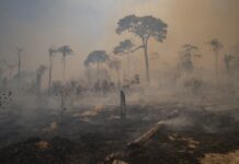 Mudanças do clima: as previsões do IPCC para a América do Sul