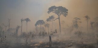 Mudanças do clima: as previsões do IPCC para a América do Sul