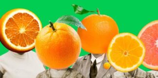 ‘Laranjas’: cassação de vereador em Ceará-Mirim pode repercutir em Mossoró