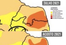 Seca grave se espalha por metade do Estado e deixa RN em situação mais preocupante do Nordeste
