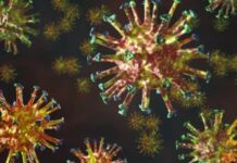 Sesap confirma duas mortes de pacientes com a variante delta do coronavírus no RN