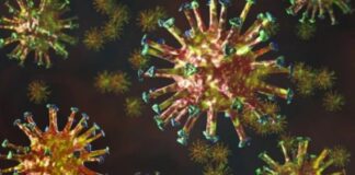 Sesap confirma duas mortes de pacientes com a variante delta do coronavírus no RN