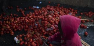 Milhões de crianças vão passar fome no Brasil neste 12 de outubro