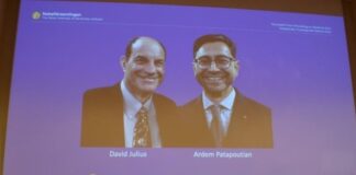 Nobel de Medicina: pesquisa sobre sensação de toque e temperatura é premiada