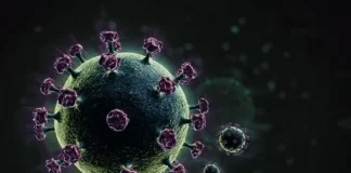 OMS batiza nova cepa da África de Omicron: “Variante de preocupação”