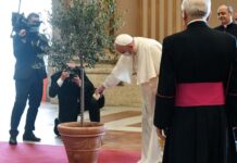 Francisco, o papa “verde”, leva Igreja ao centro dos debates sobre clima na COP26