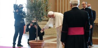 Francisco, o papa “verde”, leva Igreja ao centro dos debates sobre clima na COP26