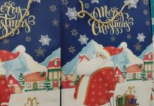 Procon Natal realiza pesquisa de preço de produtos natalinos