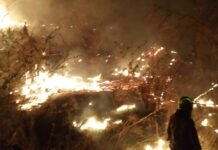 Após 10 dias, bombeiros controlam incêndio florestal em Serra Negra do Norte