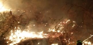 Após 10 dias, bombeiros controlam incêndio florestal em Serra Negra do Norte