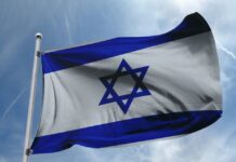 Caso raro de infecção dupla de gripe e covid-19 é registrado em mulher grávida