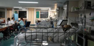 Covid-19: ocupação de UTIs do SUS no RN está em zona de alerta crítico, segundo Fiocruz