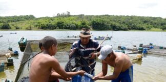 Governo do RN concede R$ 2,5 milhões em crédito para trabalhadores da pesca