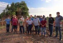 Governo do RN incentiva produção e comercialização de arroz orgânico potiguar