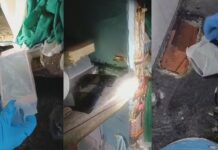 Operação apreende 614 celulares em presídios do país; vídeos mostram aparelhos escondidos