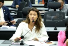 Audiência de Brisa Bracchi será realizada em 5 de março, data limite para o julgamento da cassação